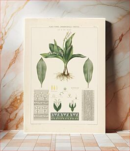 Πίνακας, Plant-forms ornamentally treated - lily of the valley