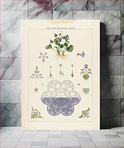 Πίνακας, Plant-forms ornamentally treated - violet