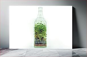 Πίνακας, Plants in a Glass Bottle Φυτά σε γυάλινο μπουκάλι