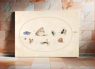 Πίνακας, Plate 19: Two Butterflies with Five Other Insects (c. 1575-1580) by Joris Hoefnagel