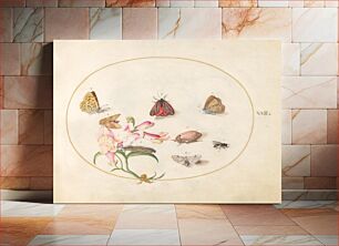 Πίνακας, Plate 22: Butterflies with Other Insects and a Snapdragon, (c. 1575-1580) by Joris Hoefnagel