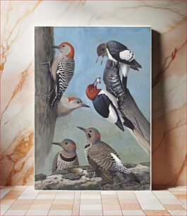 Πίνακας, Plate 52: Red-bellied Woodpecker, Red-headed Woodpecker, Northern Flicker by Louis Agassiz Fuertes