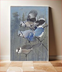 Πίνακας, Plate 58: Blue Jay, Canada Jay by Louis Agassiz Fuertes