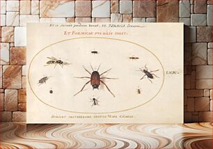 Πίνακας, Plate 70: A Roach Surrounded by Insects (c. 1575-1580) by Joris Hoefnagel