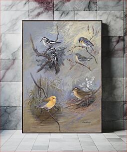 Πίνακας, Plate 80: Black and White Warbler, Northern Parula Warbler, Prothonotary Warbler, Worm-eating Warbler by Allan Brooks
