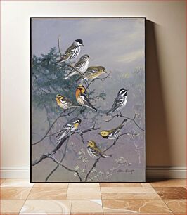 Πίνακας, Plate 84: Black-poll warbler, Blackburnian Warbler, Yellow-throated Warbler, Black-throated Gray Warbler, Black-throated Green Warbler by Allan Brooks