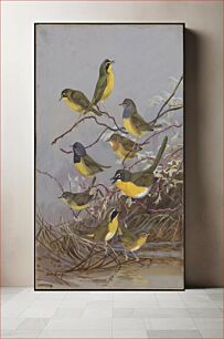 Πίνακας, Plate 86: Kentucky Warbler, Connecticut Warbler, Mourning Warbler, Yellow-breaster Chat, Maryland Yellow-throat by Allan Brooks