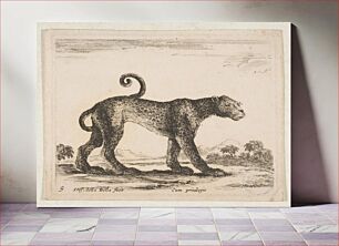 Πίνακας, Plate 9: leopard, from 'Various animals' (Diversi animali)