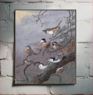 Πίνακας, Plate 90: Tufted Titmouse, Chickadee, Acadian Chickadee, Red-breasted Nuthatch, White-breasted Nuthatch, Brown Creeper by Allan Brooks