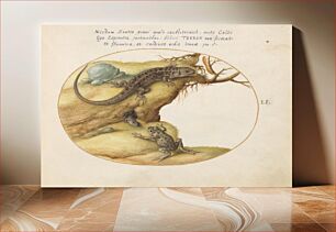 Πίνακας, Plate LI: Animalia Qvadrvpedia et Reptilia (c. 1575-1580) by Joris Hoefnagel
