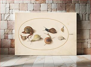 Πίνακας, Plate LXIV: Animalia Qvadrvpedia et Reptilia (c. 1575-1580) by Joris Hoefnagel