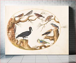 Πίνακας, Plate LXIX: Animalia Volatilia et Amphibia (c. 1575-1580) by Joris Hoefnagel