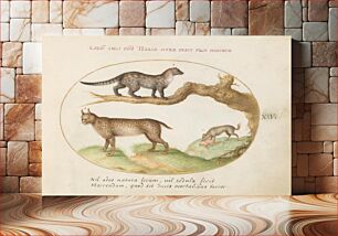 Πίνακας, Plate XIV: Animalia Qvadrvpedia et Reptilia (c. 1575-1580) by Joris Hoefnagel