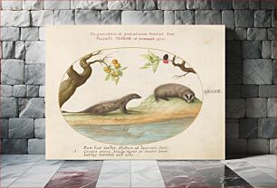 Πίνακας, Plate XLIII: Animalia Qvadrvpedia et Reptilia (c. 1575-1580) by Joris Hoefnagel