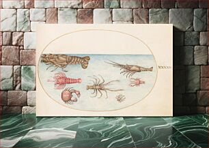 Πίνακας, Plate XLV: Animalia Aqvatilia et Cochiliata (c. 1575-1580) by Joris Hoefnagel