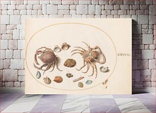 Πίνακας, Plate XLVI: Animalia Aqvatilia et Cochiliata (c. 1575-1580) by Joris Hoefnagel