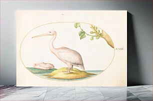 Πίνακας, Plate XXII: Animalia Volatilia et Amphibia (c. 1575-1580) by Joris Hoefnagel