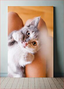 Πίνακας, Playful Kitten Παιχνιδιάρικο γατάκι