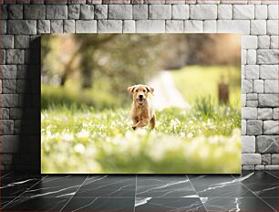 Πίνακας, Playful Puppy in Field Παιχνιδιάρικο κουτάβι στο χωράφι