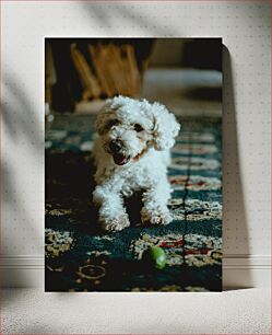 Πίνακας, Playful White Puppy on Rug Παιχνιδιάρικο λευκό κουτάβι στο χαλί