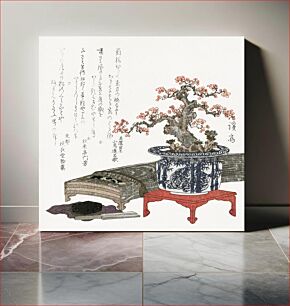 Πίνακας, Plum blossom in pot (1830) vintage Japanese print by Keisai Eisen