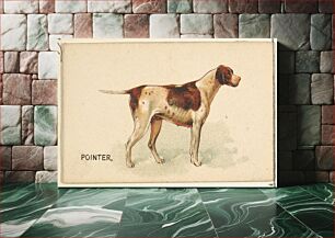 Πίνακας, Pointer, from the Dogs of the World series for Old Judge Cigarettes