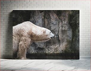 Πίνακας, Polar Bear by the Rock Polar Bear by the Rock