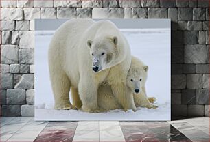 Πίνακας, Polar Bear Family in Snow Οικογένεια πολικών αρκούδων στο χιόνι