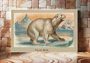 Πίνακας, Polar Bear, from the Animals of the World series (T180), issued by Abdul Cigarettes