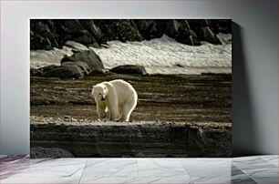 Πίνακας, Polar Bear in Arctic Landscape Πολική αρκούδα στο αρκτικό τοπίο