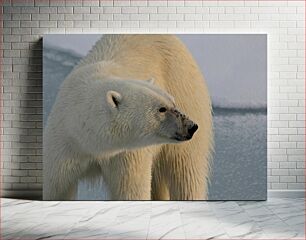 Πίνακας, Polar Bear in Frozen Landscape Πολική αρκούδα σε παγωμένο τοπίο