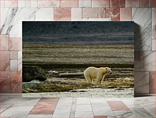 Πίνακας, Polar Bear In Its Natural Habitat Πολική αρκούδα στο φυσικό της περιβάλλον