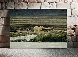 Πίνακας, Polar Bear in the Wild Πολική αρκούδα στην άγρια ​​φύση