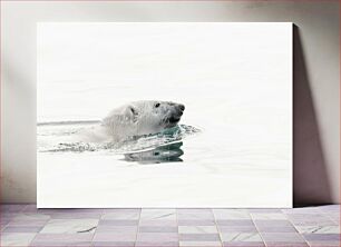 Πίνακας, Polar Bear Swimming Κολύμπι Πολικής Αρκούδας