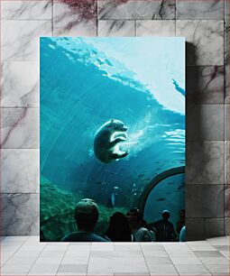 Πίνακας, Polar Bear Underwater Aquarium Υποβρύχιο Ενυδρείο Polar Bear