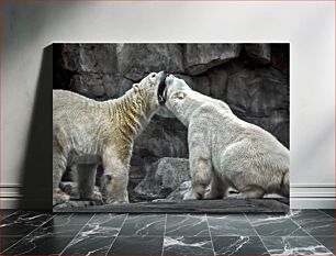 Πίνακας, Polar Bears in Action Πολικές αρκούδες σε δράση