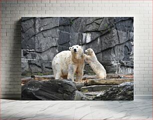 Πίνακας, Polar Bears in Captivity Πολικές αρκούδες σε αιχμαλωσία