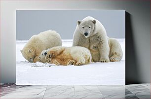 Πίνακας, Polar Bears in the Snow Πολικές αρκούδες στο χιόνι