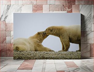 Πίνακας, Polar Bears Interacting Πολικές αρκούδες που αλληλεπιδρούν
