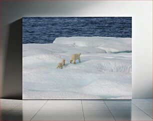 Πίνακας, Polar Bears on Ice Πολικές αρκούδες στον πάγο