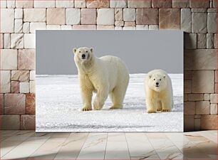 Πίνακας, Polar Bears on Ice Πολικές αρκούδες στον πάγο