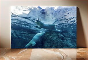 Πίνακας, Polar Bears Swimming Underwater Πολικές αρκούδες που κολυμπούν υποβρύχια