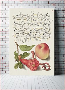 Πίνακας, Pomegranate, Worm, and Peach from Mira Calligraphiae Monumenta or The Model Book of Calligraphy (1561–1596) by Georg Bocskay and Joris Hoefnagel