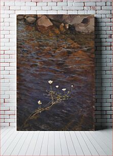 Πίνακας, Pond water crowfoot ; pond weed, 1895, Eero Järnefelt