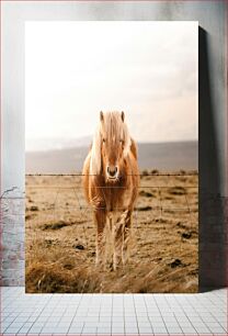 Πίνακας, Pony in a Field Πόνυ σε ένα χωράφι