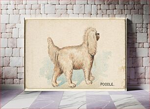 Πίνακας, Poodle, from the Dogs of the World series for Old Judge Cigarettes