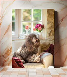 Πίνακας, Poodle Relaxing Indoors Poodle Relaxing Indoors