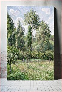 Πίνακας, Poplars, Éragny (1895) by Camille Pissarro