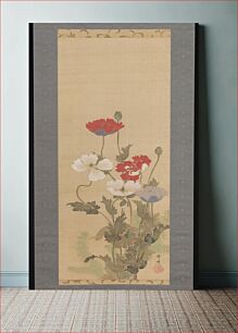 Πίνακας, Poppies by Suzuki Kiitsu