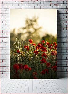 Πίνακας, Poppy Field in Bloom Poppy Field in Bloom